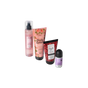 Everyday Roses Bundle