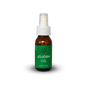 Jojoba Skin & Hair Oil - Buy from Deoora Egypt
