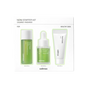 Celimax The Real Noni Kit